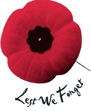 Join us this Sunday 10th November at the War Memorial outside Fore Street Living Room library at 10.45


